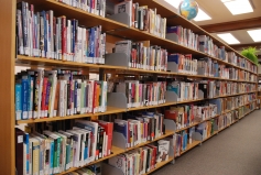 library organization shelves